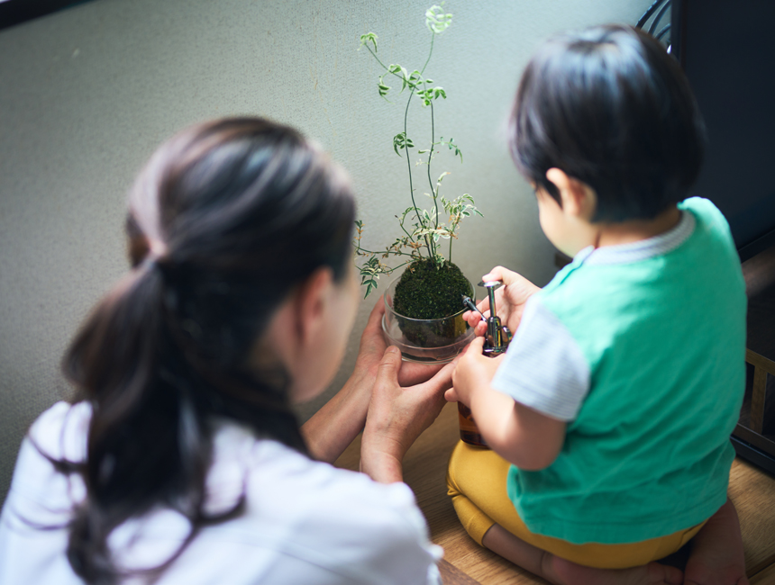 苔玉　育てる